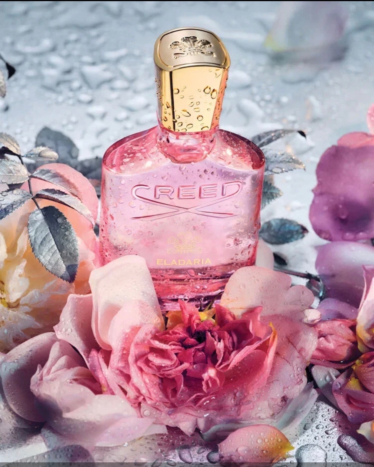 Eladaria Inspired Women’s Luxury Fragrance – Elegant Floral Perfume (100ml)