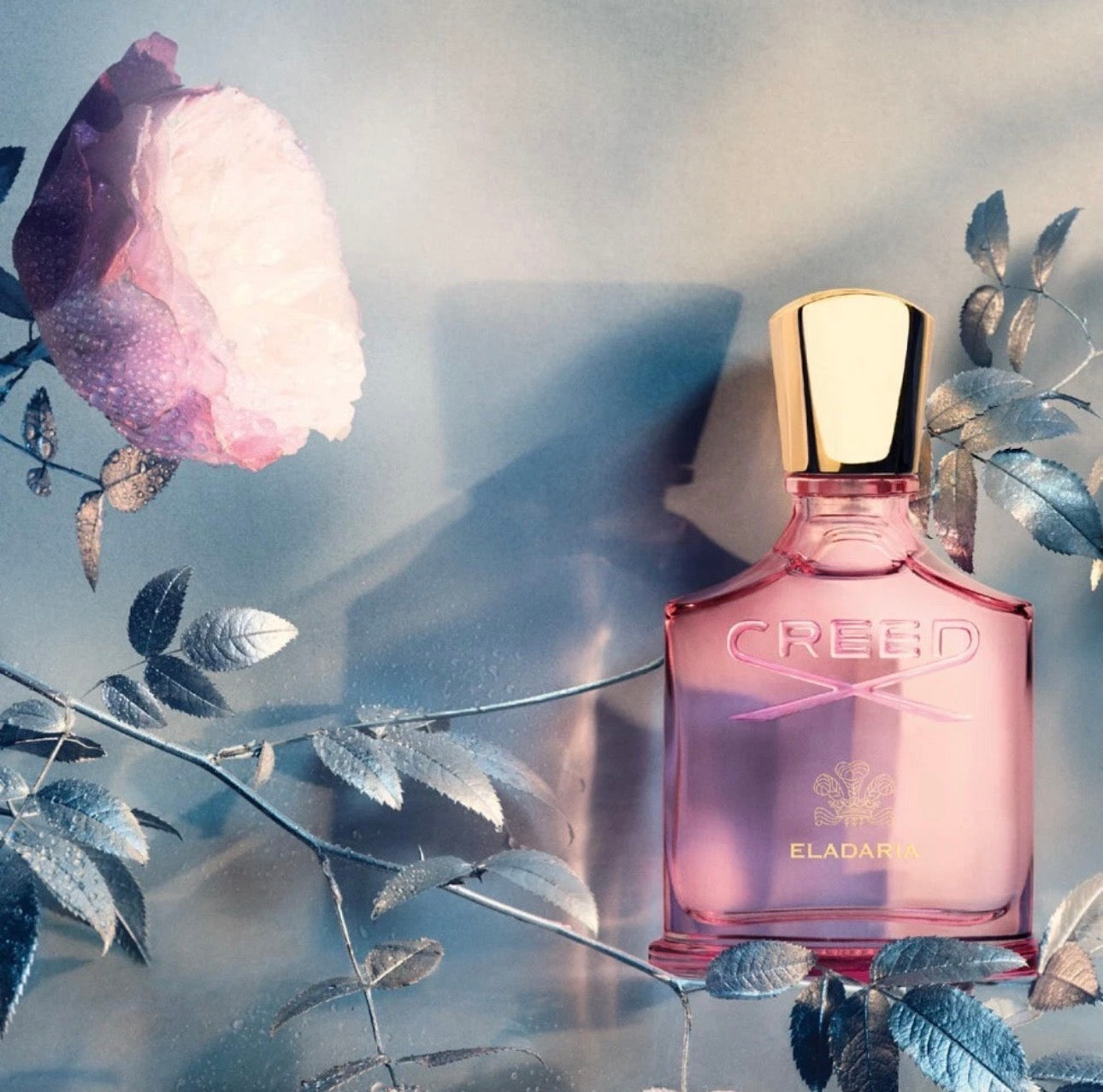 Eladaria Inspired Women’s Luxury Fragrance – Elegant Floral Perfume (100ml)